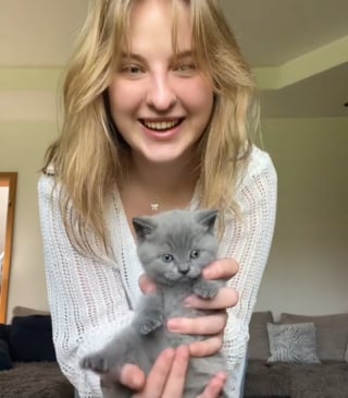 Illustration de l'article : Une chatte accouche de 5 adorables chatons gris mais chacun d’une nuance différente (vidéo)