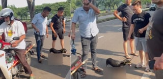 Illustration de l'article : Le motard octogénaire ayant traîné un chiot sur le bitume a été arrêté et interrogé par les forces de l'ordre