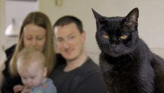 Illustration de l'article : À 17 ans, ce chat offre un réconfort inespéré à une maman touchée par la dépression postnatale (vidéo)