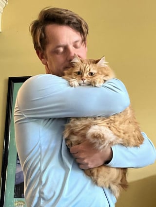 Illustration de l'article : 18 photos dévoilant toute la beauté des chats roux 