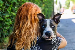 Illustration de l'article : 6 conseils pour vous aider à prendre soin de votre chien atteint de cécité