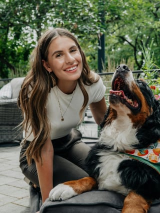 Illustration de l'article : Elle adopte un chien abandonné, un an plus tard l’ancienne famille refait surface et veut le récupérer