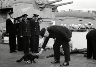 Illustration de l'article : Sur le navire amiral de la Royal Navy, ce chien mascotte joue un rôle crucial et apporte du réconfort pour l’équipage en mer