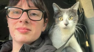 Illustration de l'article : Partie pour une balade, cette chatte finit à 640 km de chez elle après être montée dans le van d’un inconnu