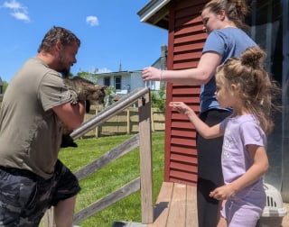 Illustration de l'article : Une épicerie locale hébergeant régulièrement des chats permet à un félin de retrouver sa famille, après plus de 9 mois de séparation