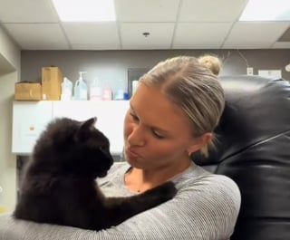 Illustration de l'article : Ce chat noir au coeur brisé mais débordant d'affection connaît enfin le bonheur d'un vrai foyer (vidéo)