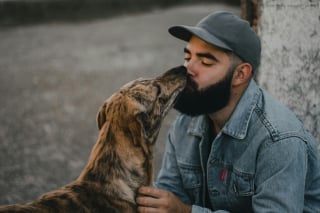 Illustration de l'article : 13 façons dont des chiens héroïques ont sauvé des vies