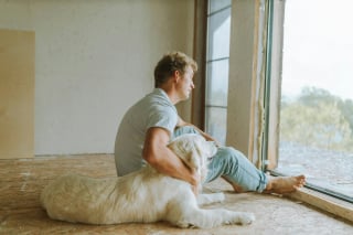 Illustration de l'article : 13 façons dont des chiens héroïques ont sauvé des vies
