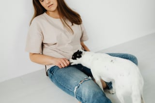 Illustration de l'article : 13 façons dont des chiens héroïques ont sauvé des vies
