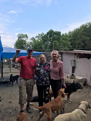 Illustration de l'article : Après la perte de leur chien adopté en Turquie, un couple peiné prend l'avion pour se rendre dans son pays d'origine afin de reconstruire un refuge ravagé par les flammes