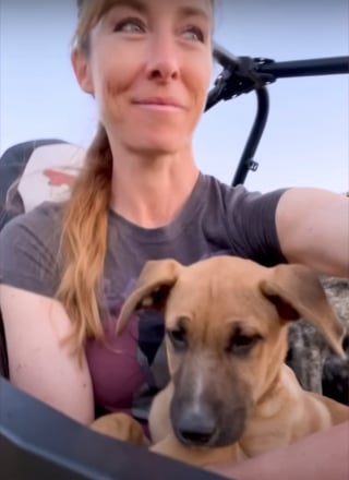 Illustration de l'article : Séparé de sa famille après son sauvetage au bord d'une route, un chien la retrouve le temps d'une fête inoubliable autour de la piscine