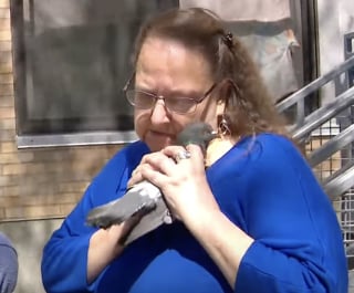 Illustration de l'article : Une femme endeuillée trouve du réconfort dans l’amitié inattendue entre son chien et un pigeon (vidéo)
