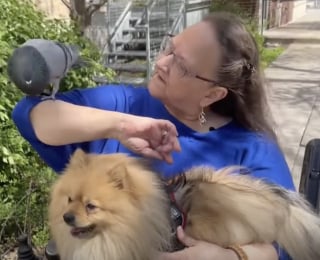 Illustration de l'article : Une femme endeuillée trouve du réconfort dans l’amitié inattendue entre son chien et un pigeon (vidéo)