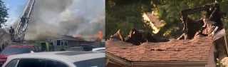 Illustration de l'article : Employés, voisins et pompiers interviennent en urgence pour secourir 70 chiens pris au piège par les flammes dans une pension