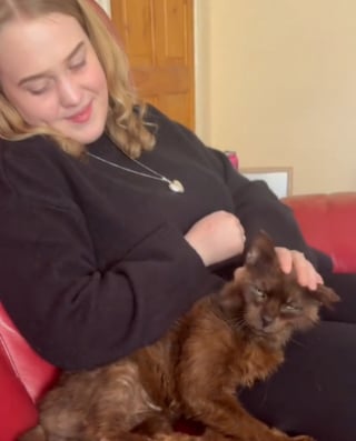 Illustration de l'article : Une famille retrouve son chat disparu 10 ans plus tôt grâce à sa puce et découvre ses tristes conditions de vie (vidéo)