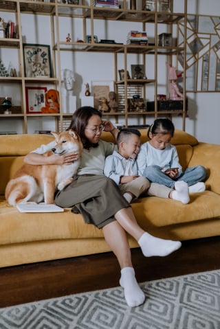 Illustration de l'article : 11 indices prouvant que le chien est un membre de la famille à part entière