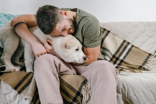 Illustration de l'article : 11 indices prouvant que le chien est un membre de la famille à part entière