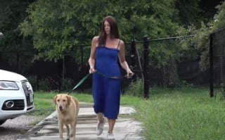Illustration de l'article : Une femme se jette sur un alligator pour sauver sa chienne attaquée en pleine promenade