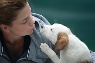 Illustration de l'article : 15 choses qui prouvent que nos amis les chiens nous ressemblent plus qu’on ne le pense