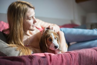 Illustration de l'article : 15 choses qui prouvent que nos amis les chiens nous ressemblent plus qu’on ne le pense