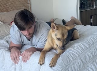 Illustration de l'article : Ce propriétaire tente d’imiter les moindres faits et gestes de son chien, mais doit faire face à sa mine perplexe voire déconcertée (vidéo)