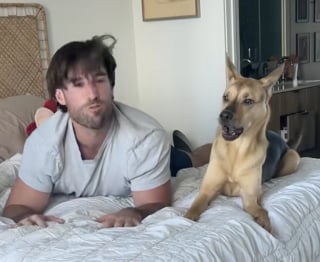Illustration de l'article : Ce propriétaire tente d’imiter les moindres faits et gestes de son chien, mais doit faire face à sa mine perplexe voire déconcertée (vidéo)