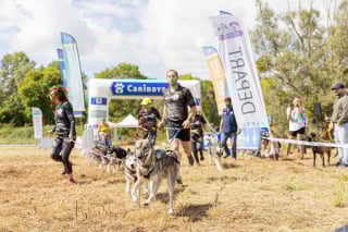 Illustration de l'article : J-7 avant Canidays avec Hill’s, le week-end le plus « dogfriendly » de l’année