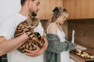 Illustration de l'article : 10 choses à ne jamais faire en présence d'un chat anxieux