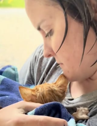 Illustration de l'article : Prête à tout pour aider un chaton en détresse, une femme au grand cœur n’hésite pas à braver une tempête pour le mettre à l’abri (vidéo)