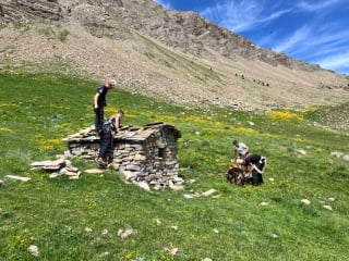 Illustration de l'article : Un berger sent une odeur étrange en montagne, il découvre 2 Malinois affamés dans une cabane et les met hors de danger