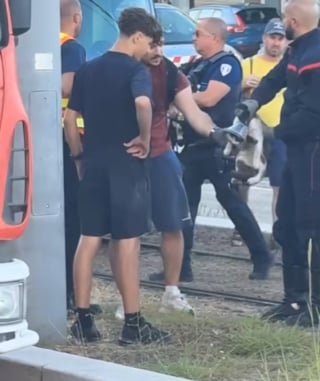 Illustration de l'article : Un tramway s’arrête en urgence, un chat coincé dessous déclenche un sauvetage haletant sous les applaudissements de la ville de Montpellier (vidéo)