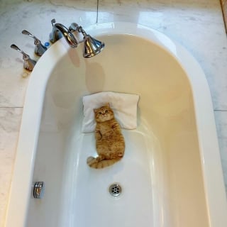 Illustration de l'article : 20 photos adorables qui vont vous faire fondre en un clin d’oeil