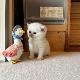 Illustration de l'article : 20 photos adorables qui vont vous faire fondre en un clin d’oeil