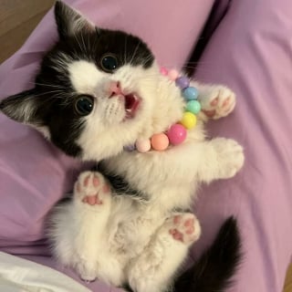Illustration de l'article : 20 photos adorables qui vont vous faire fondre en un clin d’oeil