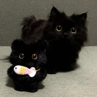 Illustration de l'article : 20 photos adorables qui vont vous faire fondre en un clin d’oeil