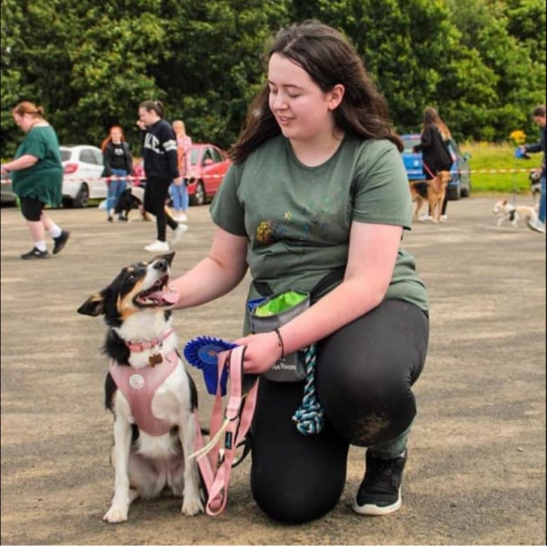 Illustration de l'article : Autrefois jugé pour son mauvais comportement, ce chien prend sa revanche en participant à un prestigieux concours