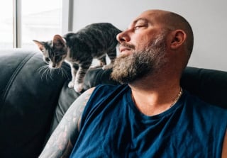 Illustration de l'article : Un homme qui n’aimait pas les félins tombe amoureux d’un chat grâce à un programme unique 