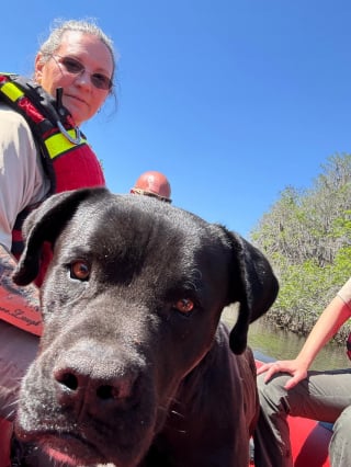 Illustration de l'article : Un chien introuvable depuis une semaine et coincé au bord d'une rivière est repéré par des passants juste à temps