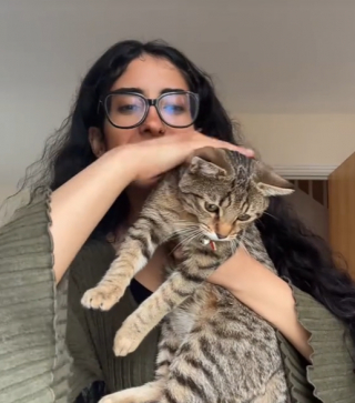 Illustration de l'article : Lorsque ce chat voit sa propriétaire caresser l’un de ses congénères, il a une réaction presque humaine (vidéo) 