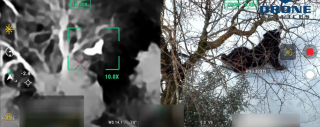 Illustration de l'article : Un chien fugue en pleine montagne et disparaît pendant 3 jours avant d'être sauvé par un drone thermique