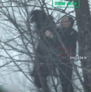 Illustration de l'article : Un chien fugue en pleine montagne et disparaît pendant 3 jours avant d'être sauvé par un drone thermique