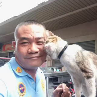 Illustration de l'article : Un chat errant s’attache à un agent de sécurité et devient son compagnon de travail