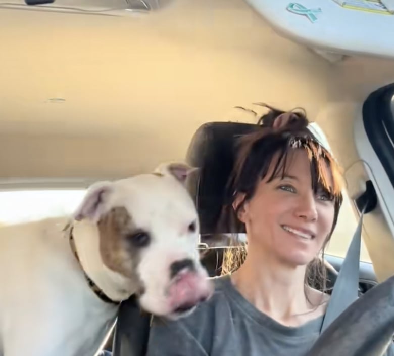 Illustration de l'article : Pensionnaire de longue date d’un refuge, ce chien passe un moment privilégié avec une bénévole et voit sa vie transformée