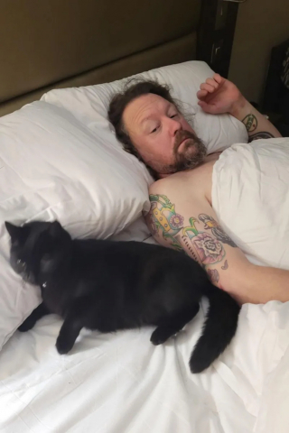 Illustration de l'article : Un chat s'introduit dans une chambre d'hôtel et se lie d'amitié avec un couple de clients qui mènent leur petite enquête pour retrouver sa famille