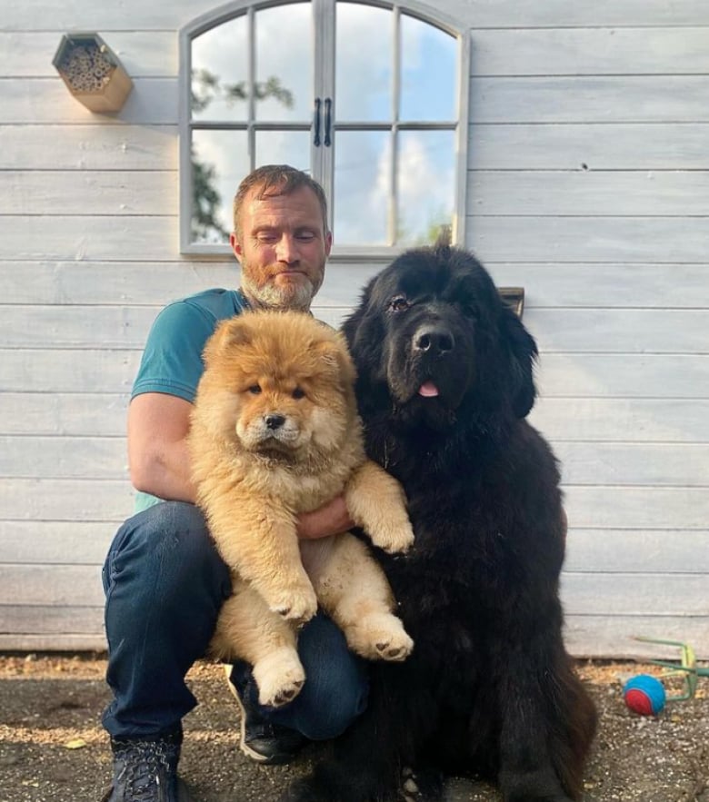 Illustration de l'article : Cet homme est accueilli chaque jour par une troupe d&rsquo;animaux et vit l&rsquo;existence dont beaucoup r&ecirc;vent (vid&eacute;o)