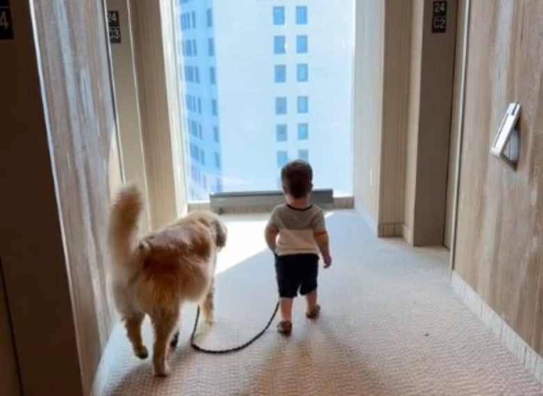 Illustration de l'article : L’impact positif de ce Golden Retriever sur son ami humain est une preuve des bienfaits des animaux de compagnie sur les enfants (vidéo)
