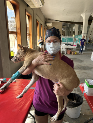 Illustration de l'article : À 60 ans, cette technicienne vétérinaire à la retraite continue de lutter contre la surpopulation animale en parcourant 2 700 kilomètres pour stériliser des centaines de chiens et chats