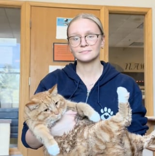 Illustration de l'article : Ce chat rejeté par sa famille car il était en surpoids s’apprête à découvrir sa nouvelle vie (vidéo)