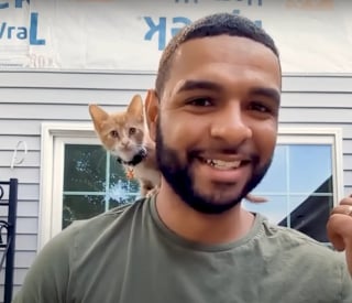 Illustration de l'article : Il sauve un chaton d’un baril d’eau sale sur un chantier, sans imaginer le lien qui allait naître