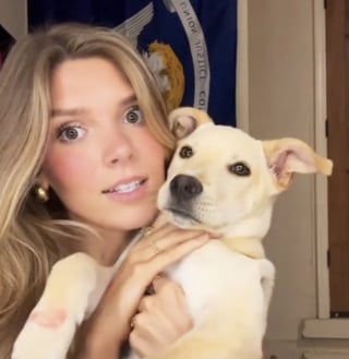 Illustration de l'article : En voyant un chiot être jeté d’une voiture en marche, une jeune femme horrifiée sait parfaitement comment réagir (vidéo)
